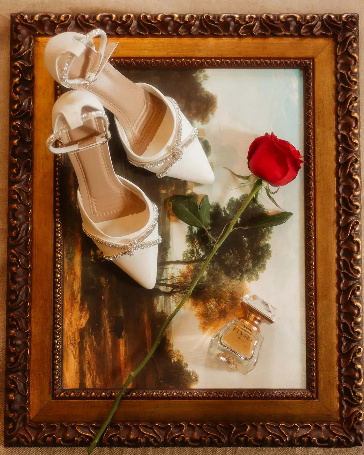 Os sapatos e a rosa